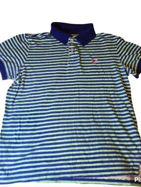 American Eagle Outfitters Striped Polo - Navy & Light Green